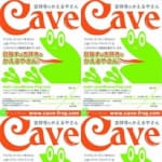 吉祥寺のかえるやさん　Cave